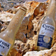 Imagen para el artículo titulado La gente está preocupada por la cerveza mexicana Corona. “Corona beer virus” es ahora mismo tendencia en Google